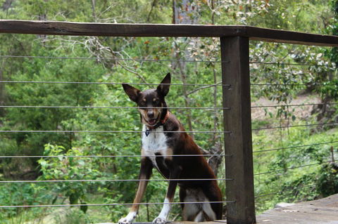 Ark Of Denmark - Australia Accommodation 10