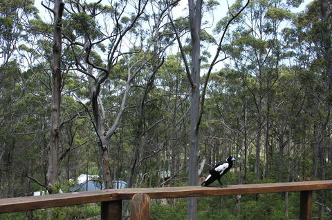 Ark Of Denmark - Australia Accommodation 11