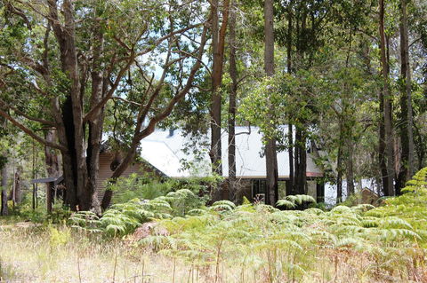 Scotsdale Valley Studios - Australia Accommodation 12