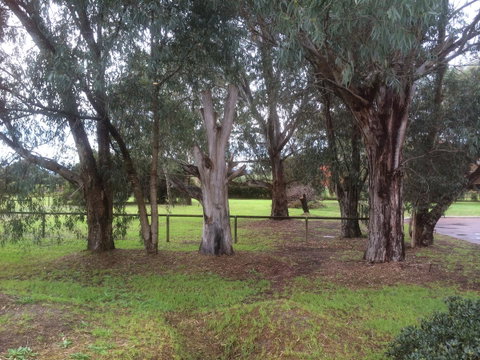 Nivalis Bed And Breakfast - Australia Accommodation 29