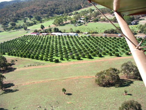 Bindoon's Windmill Farm - Australia Accommodation 3