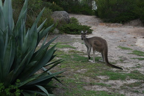 Aqua Views - Australia Accommodation 15