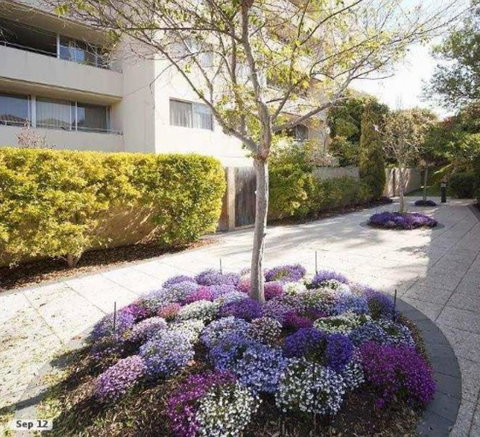 Retro Central Claremont Oasis - Australia Accommodation 0