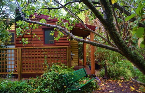 Black Cockatoo Lodge - Australia Accommodation 36