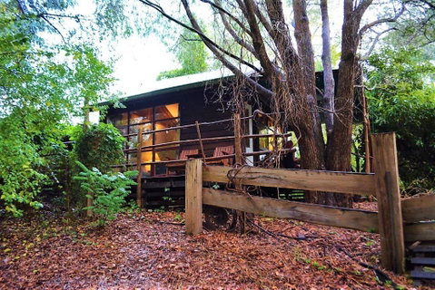 Black Cockatoo Lodge - Australia Accommodation 4