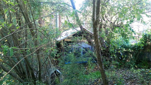 Black Cockatoo Lodge - Australia Accommodation 22