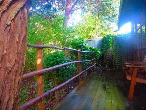 Black Cockatoo Lodge - Australia Accommodation 21