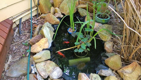 Black Cockatoo Lodge - Australia Accommodation 29