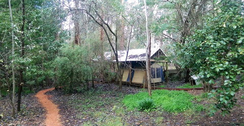 Black Cockatoo Lodge - Australia Accommodation 10