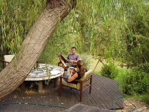 Black Cockatoo Lodge - Australia Accommodation 35