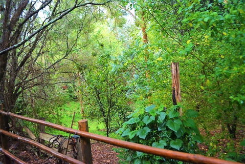 Black Cockatoo Lodge - Australia Accommodation 28