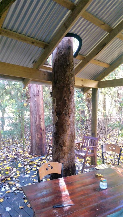 Black Cockatoo Lodge - Australia Accommodation 19