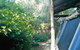 Black Cockatoo Lodge - thumb 12