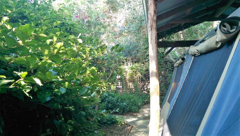Black Cockatoo Lodge - Australia Accommodation 12