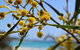 Eagle Bay House - thumb 12