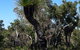 Eagle Bay House - thumb 26