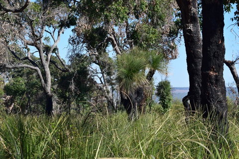 Eagle Bay House - Australia Accommodation 23