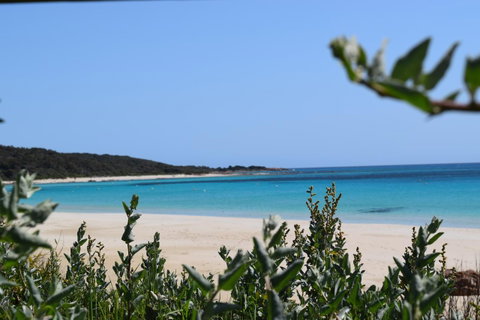 Eagle Bay House - Australia Accommodation 13