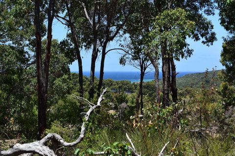 Eagle Bay House - Australia Accommodation 28