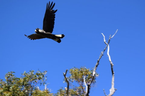 Eagle Bay House - Australia Accommodation 20