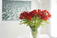 Book Kingston Beach Accommodation Vacations Australia Accommodation Australia Accommodation