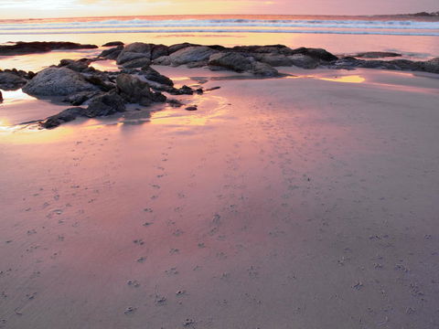 Beachend Bicheno - Australia Accommodation 2