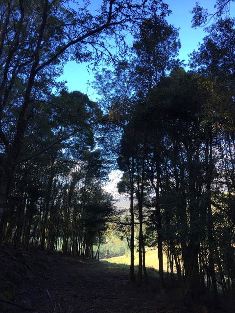 Manna Hill Farm - Australia Accommodation 27