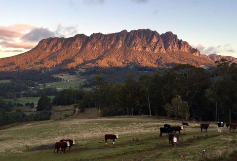 Manna Hill Farm - Australia Accommodation 10