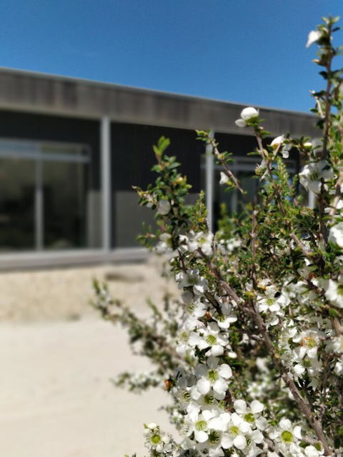 Aplite House - Australia Accommodation 7