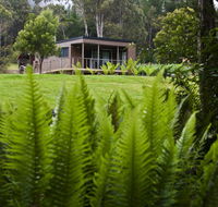 Tyenna River Cottage - Australia Accommodation