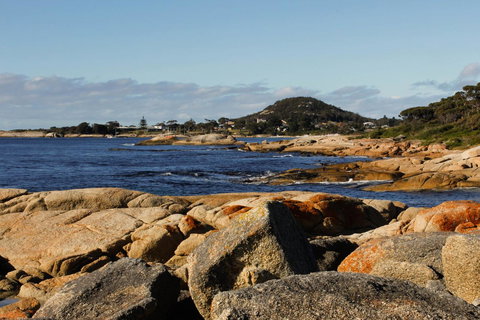 Mermaids Of Bicheno - Australia Accommodation 15