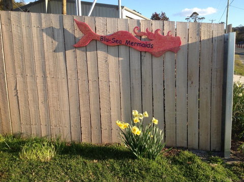 Mermaids Of Bicheno - Australia Accommodation 17