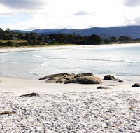 Mermaids of Bicheno - Australia Accommodation