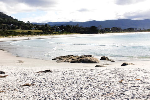 Mermaids Of Bicheno - Australia Accommodation 0