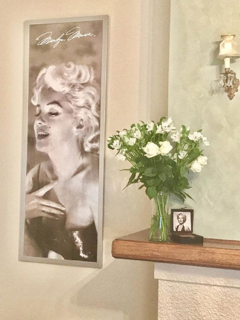 Jones On Wilson Boutique B&B - Australia Accommodation 1