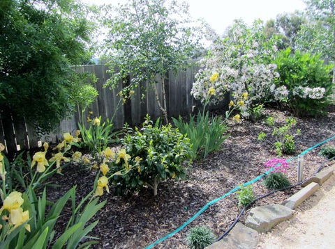 Elm Trees Accommodation @ Ross - Australia Accommodation 6
