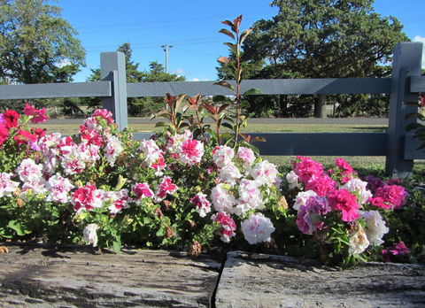 Elm Trees Accommodation @ Ross - Australia Accommodation 25