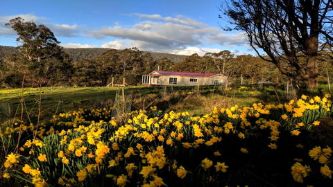 Mountain Blue Guest House - Australia Accommodation 3