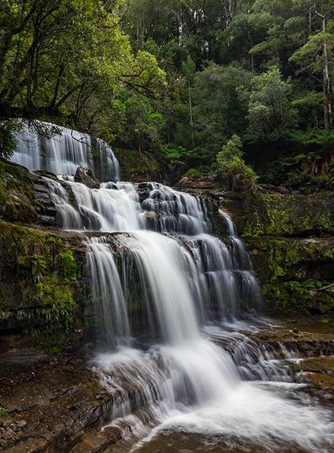 Mountain Blue Guest House - Australia Accommodation 22