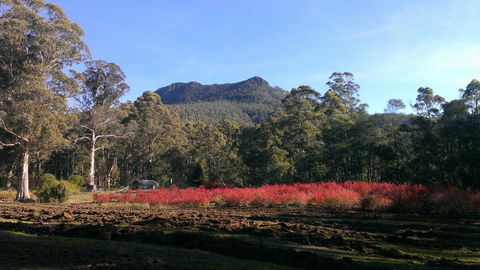 Mountain Blue Guest House - Australia Accommodation 23