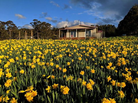 Mountain Blue Guest House - Australia Accommodation 0
