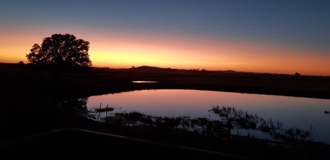 New Horizons Farm Stay - Australia Accommodation 1