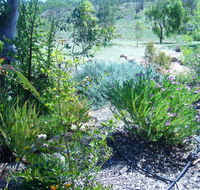 Old Miners' Cottages Bed and Breakfast - Australia Accommodation