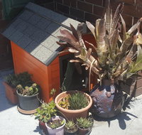 Orange Grove Hotel - Australia Accommodation