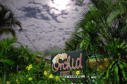 Orchid Guest House - Australia Accommodation 1