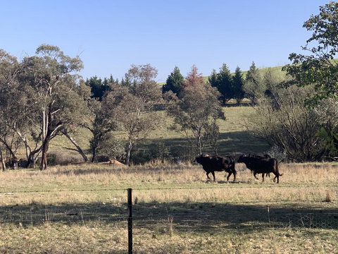 OConnell Retreat BnB - Australia Accommodation 1