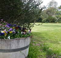 Padthaway Caravan Park - Australia Accommodation