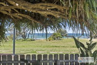 Pandanus on Emerald