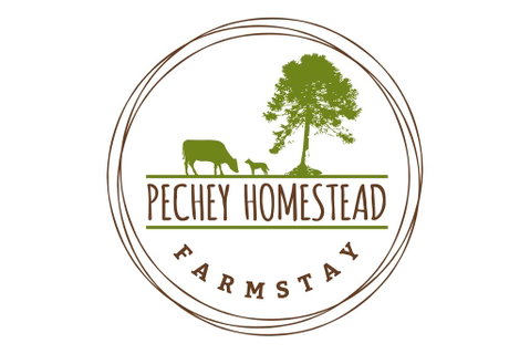 Pechey Homestead - Australia Accommodation 1