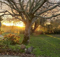Peg Cottage - Australia Accommodation